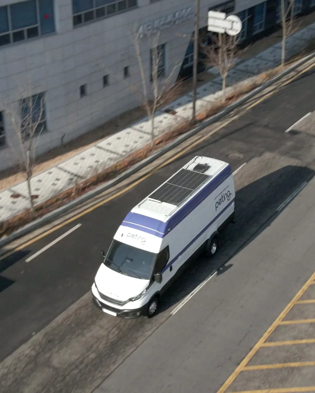 동네 길을 달려오는 펫팅 검진 차량과, 차 안에서 편안히 쓰다듬어지는 고양이