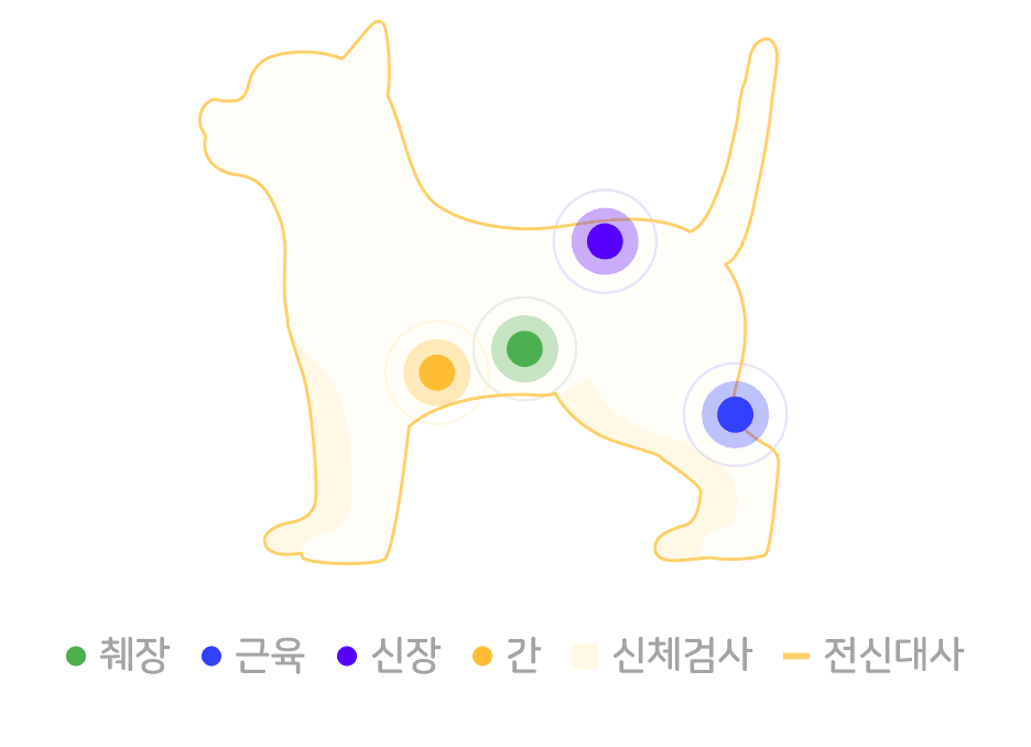 실속형 검진 부위 그래픽
