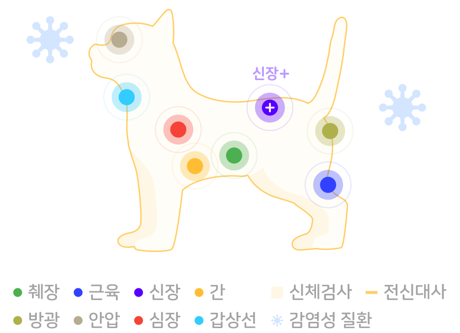 특화형 검진 부위 그래픽