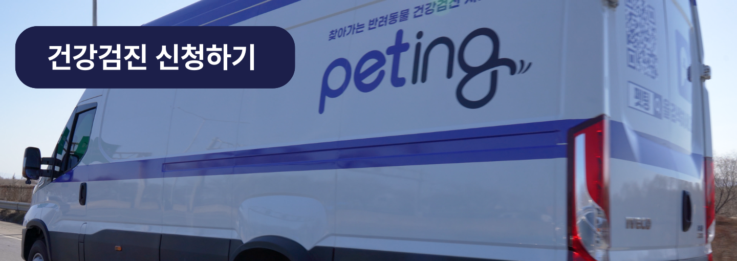 펫팅 차량 이미지